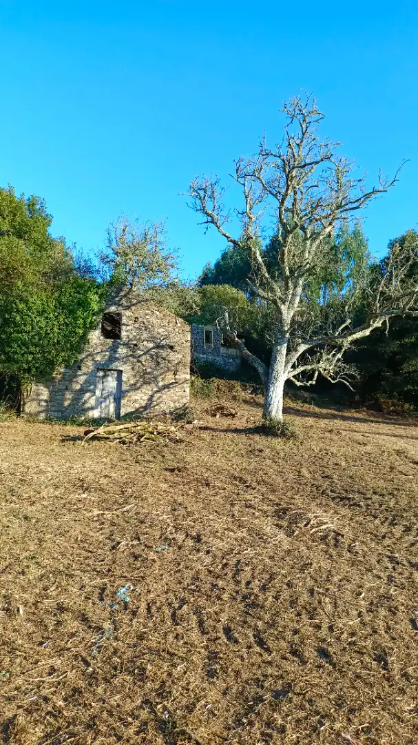 Terreni e lotti in vendita a Vilalba, imagen 6