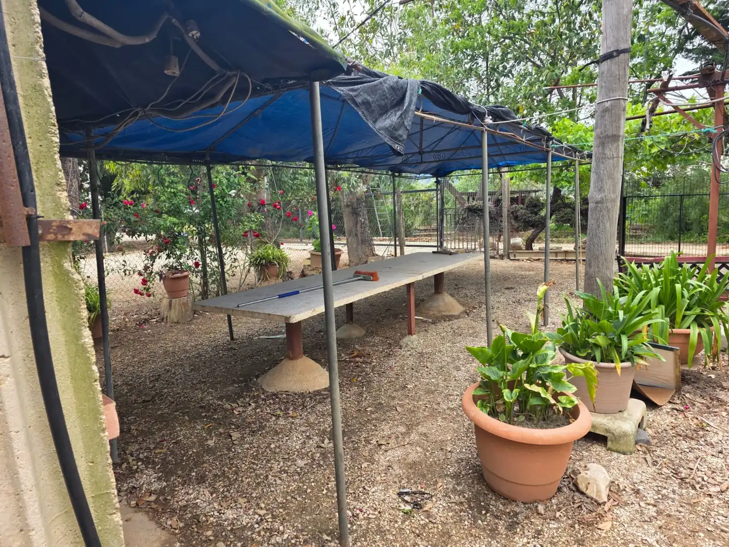 Terraza de Terreno en venta en Amposta