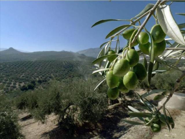 Terreno residencial en Venta en Jauja