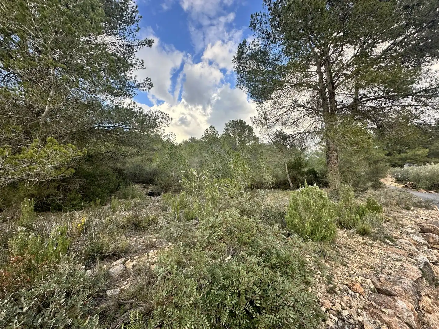 Terrenos y solares en venta en Alfara de la Baronia, imagen 8