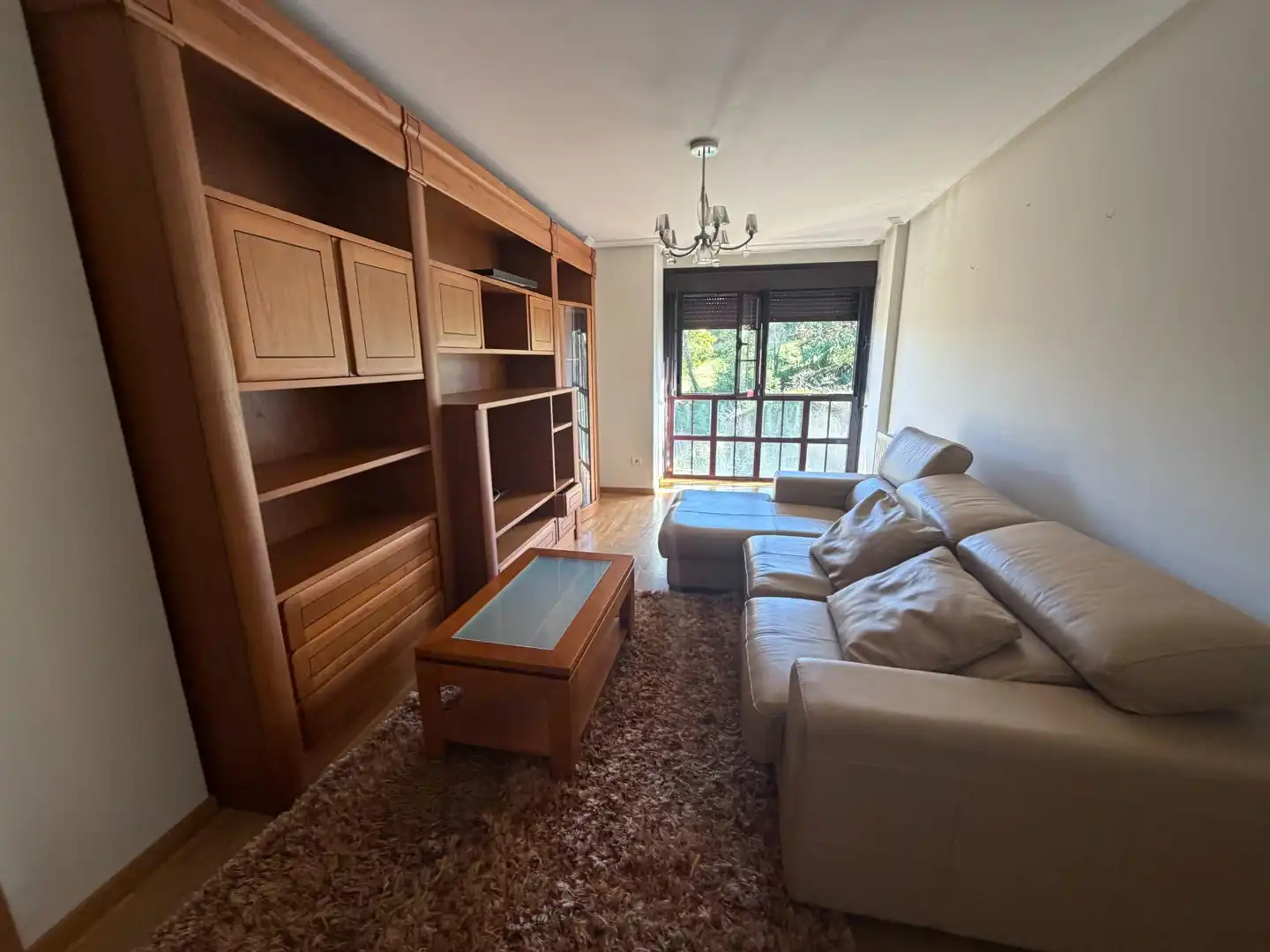 Living room of Flat for rent in Nava, Asturias