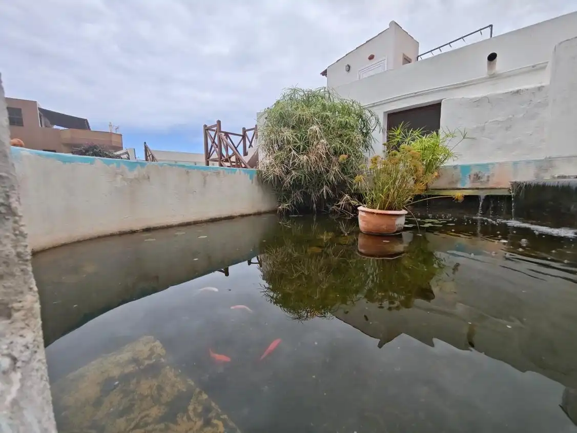 Casa con jardín en venta en Garachico, imagen 29