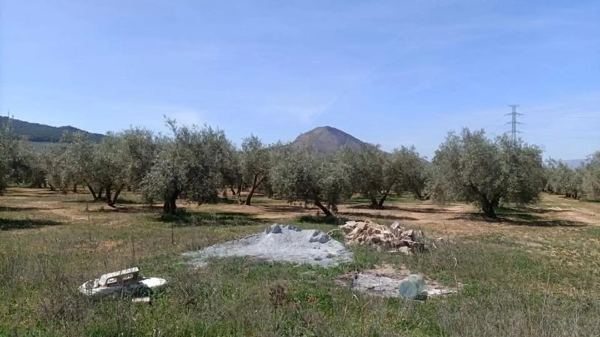 Finca rústica en venta en Albolote