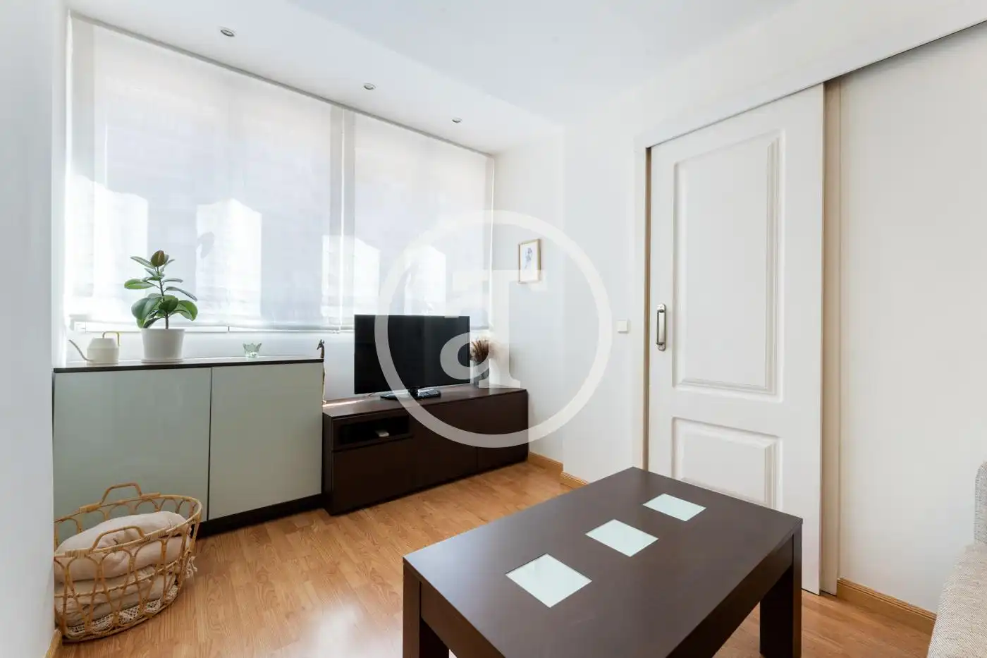 Living room of Flat for rent in Madrid  with Heating, Furnished and Oven