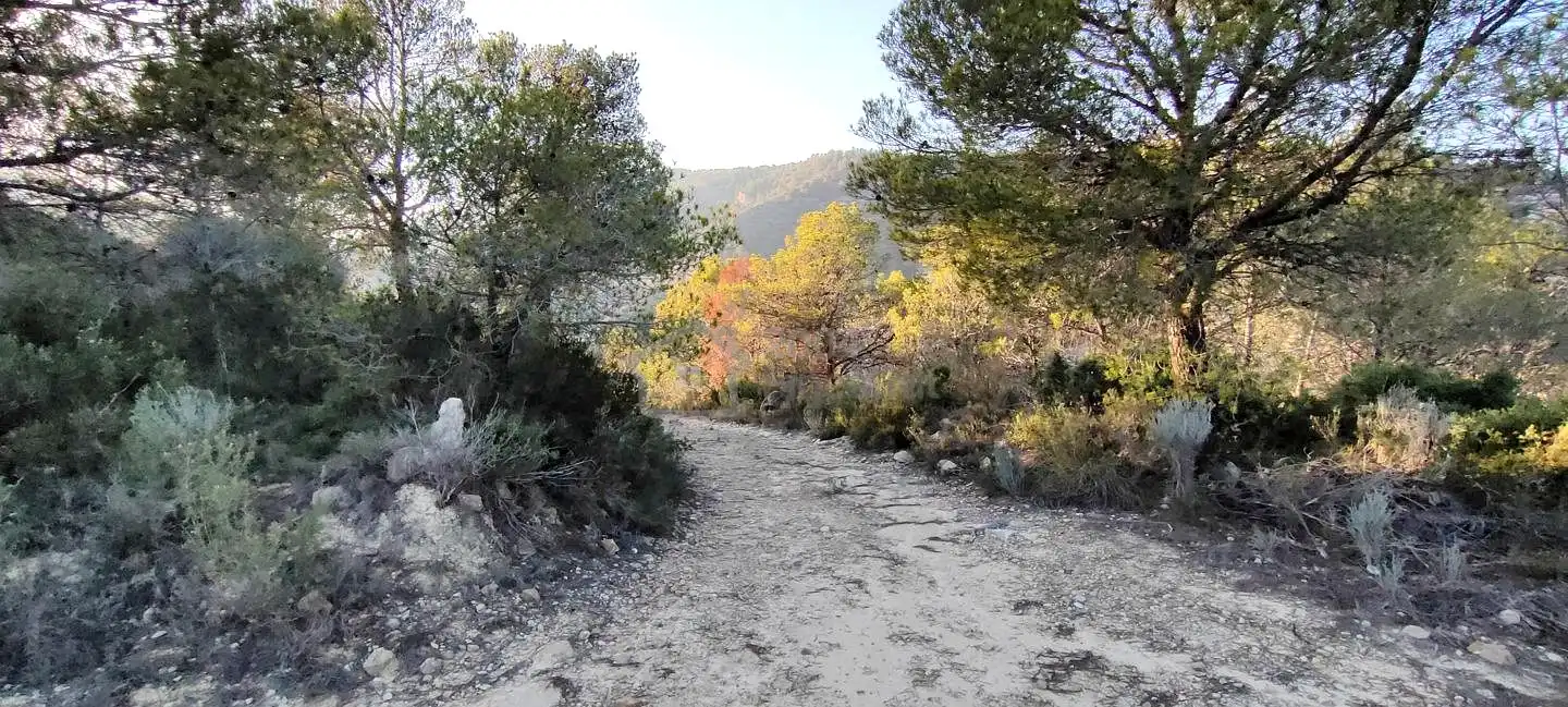 Terreny rústic en venda a Les Urques, imagen 4