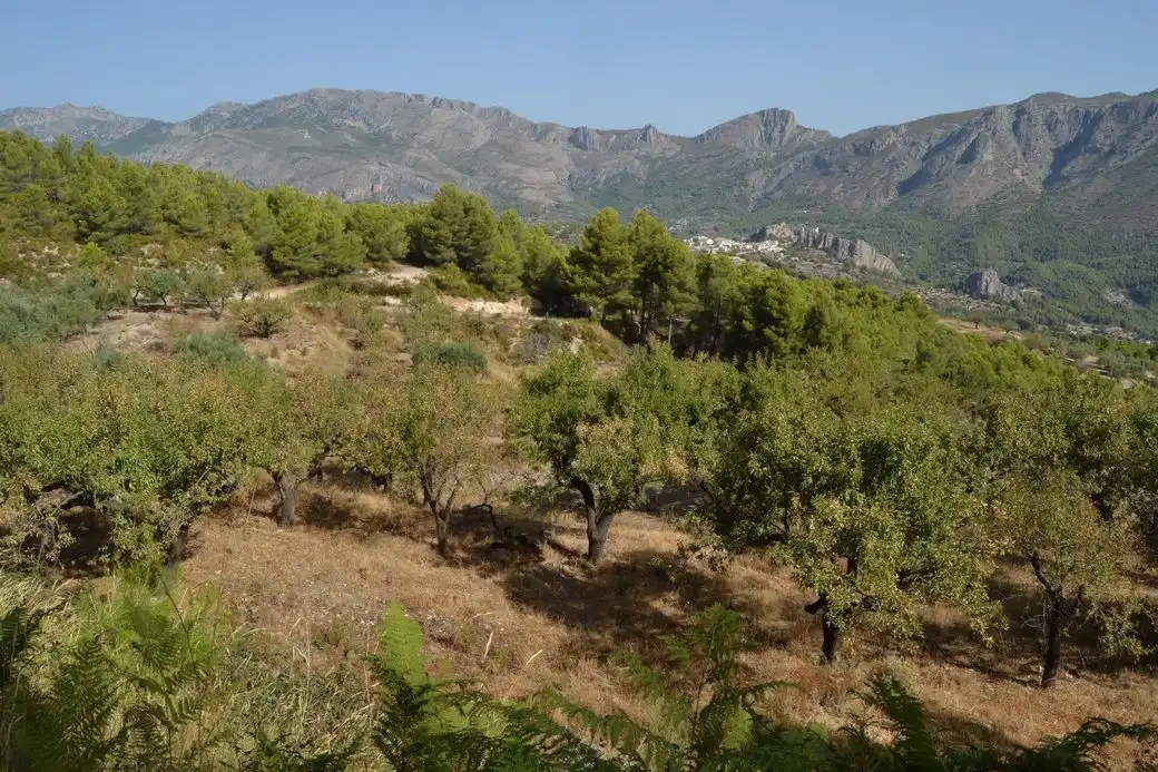 Grundstücke und Bauplätze zum Verkauf in El Castell de Guadalest