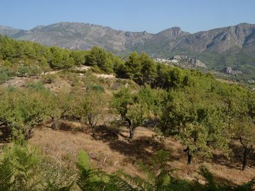 Grundstücke und Bauplätze zum Verkauf in El Castell de Guadalest