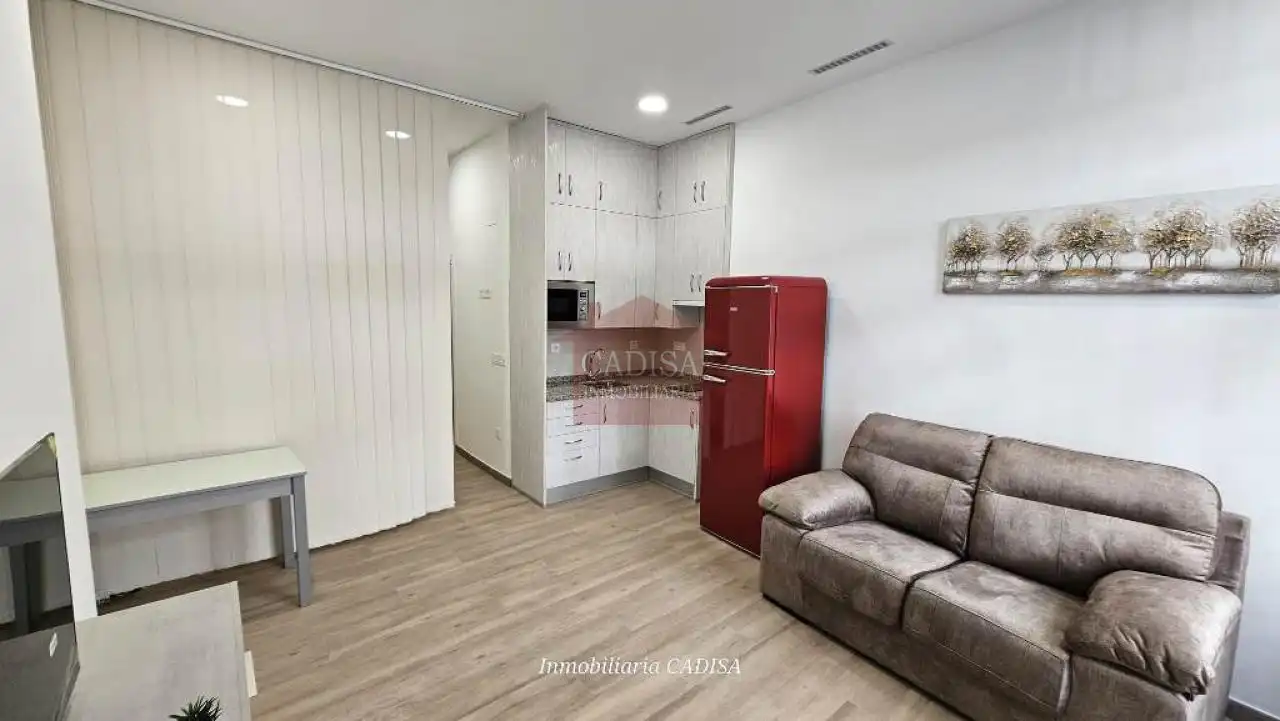 Sala d'estar de Estudi de lloguer en Salamanca amb Aire condicionat, Calefacció i Moblat