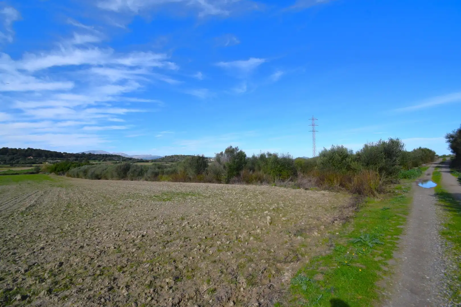 Residential land for sale in Muro, imagen 7