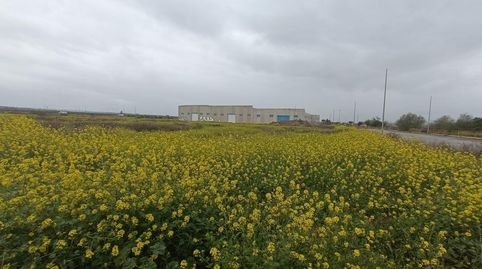 Terreno industrial de 4.096 metros, immagine 3