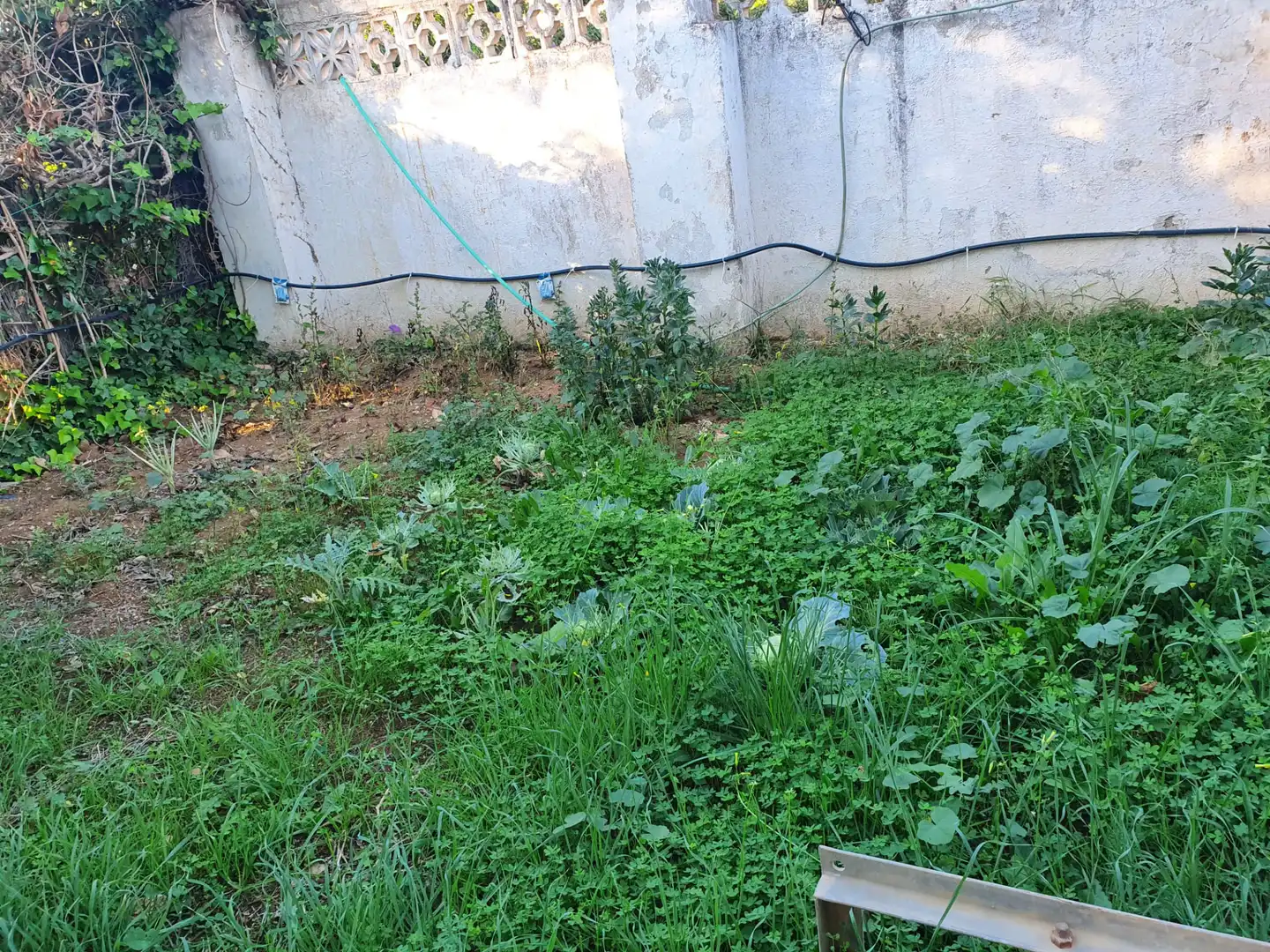 Casa rústica con piscina en venta en Buenavista - Lauro Golf, imagen 14