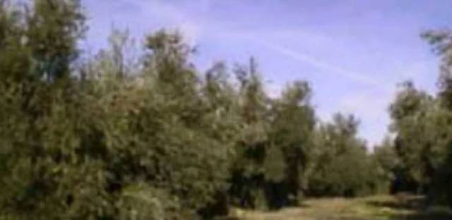 Terreno en Venta en N/A, -1 en Guarromán