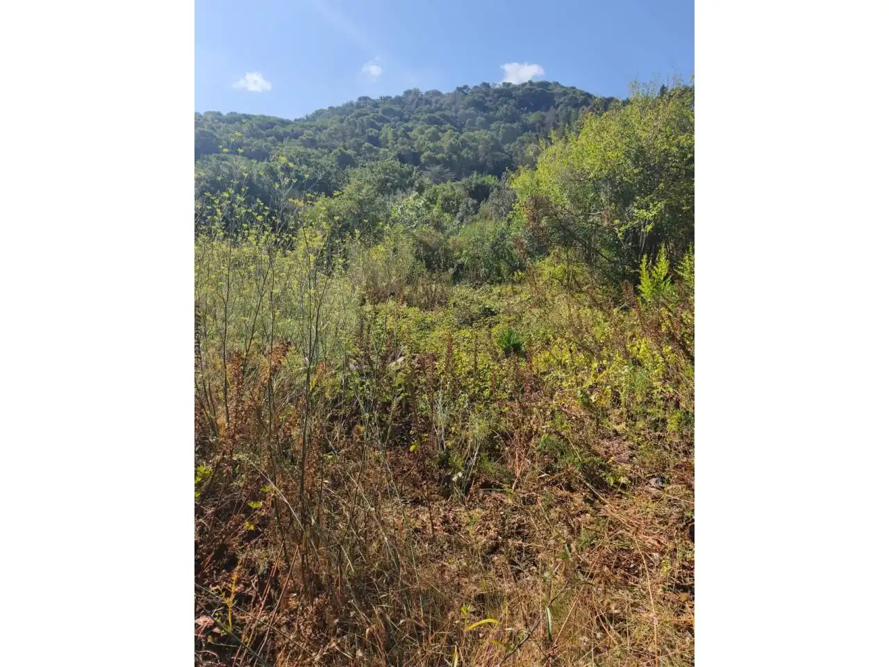 Residential land for sale in Calle Castanyers, imagen 5