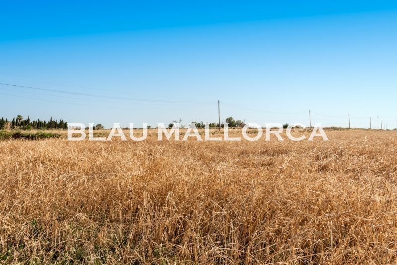 Finca rústica en venda en Manacor