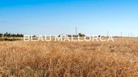 Photo 3 of Country house for sale in Manacor Centre, Illes Balears