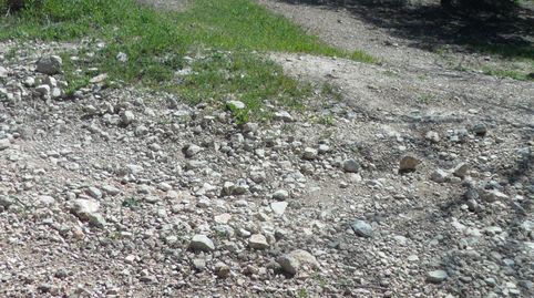 MAGNÍFICA FINCA DE OLIVOS MARTEÑO CON TOMA DE LUZ, immagine 4
