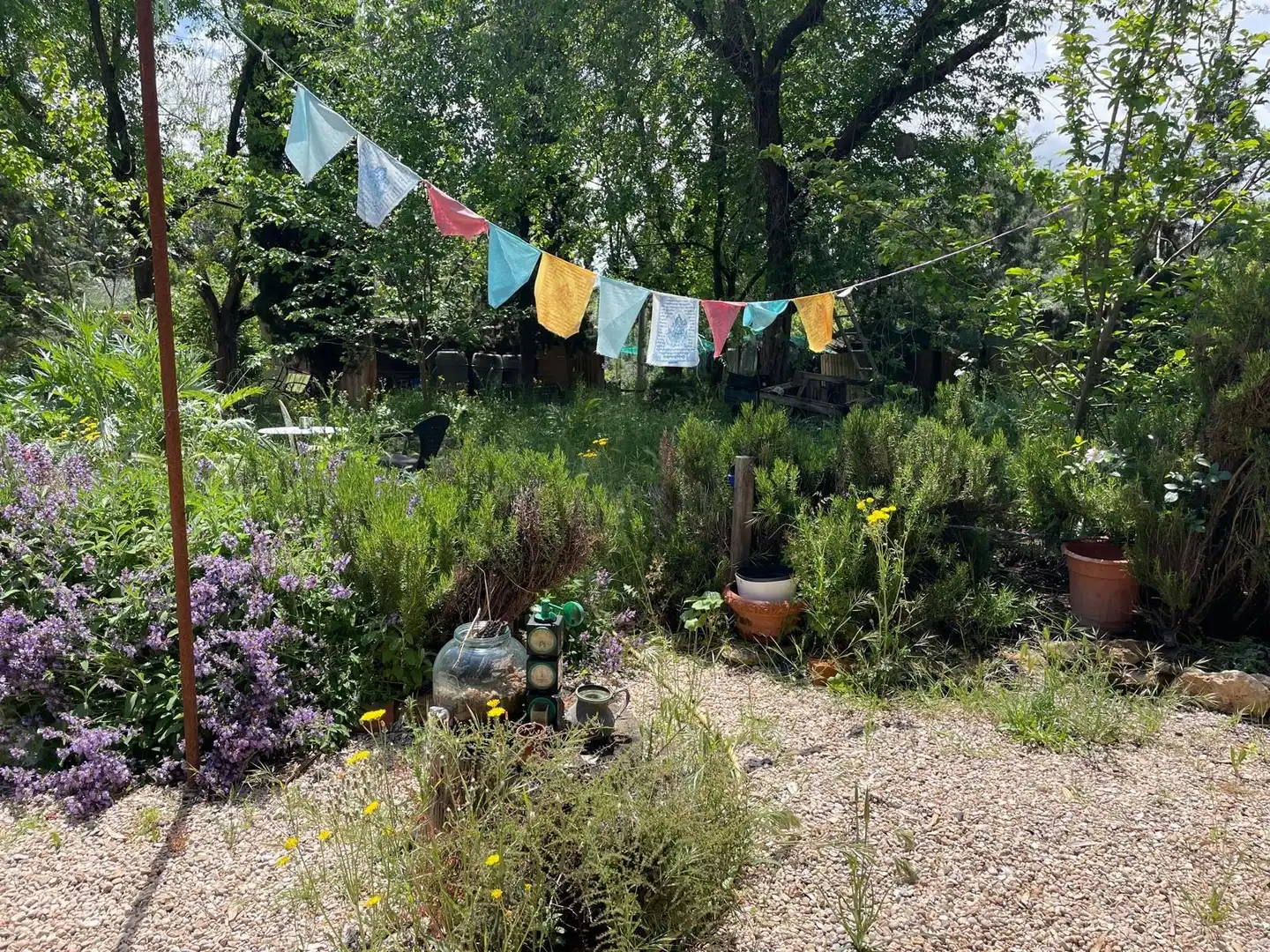 Jardí de Finca rústica en venda en Carrión de Calatrava amb Calefacció, Terrassa i Traster