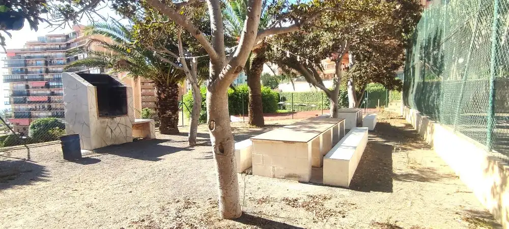 Piso con piscina en venta en Avenida San Bartolome Tir, imagen 34