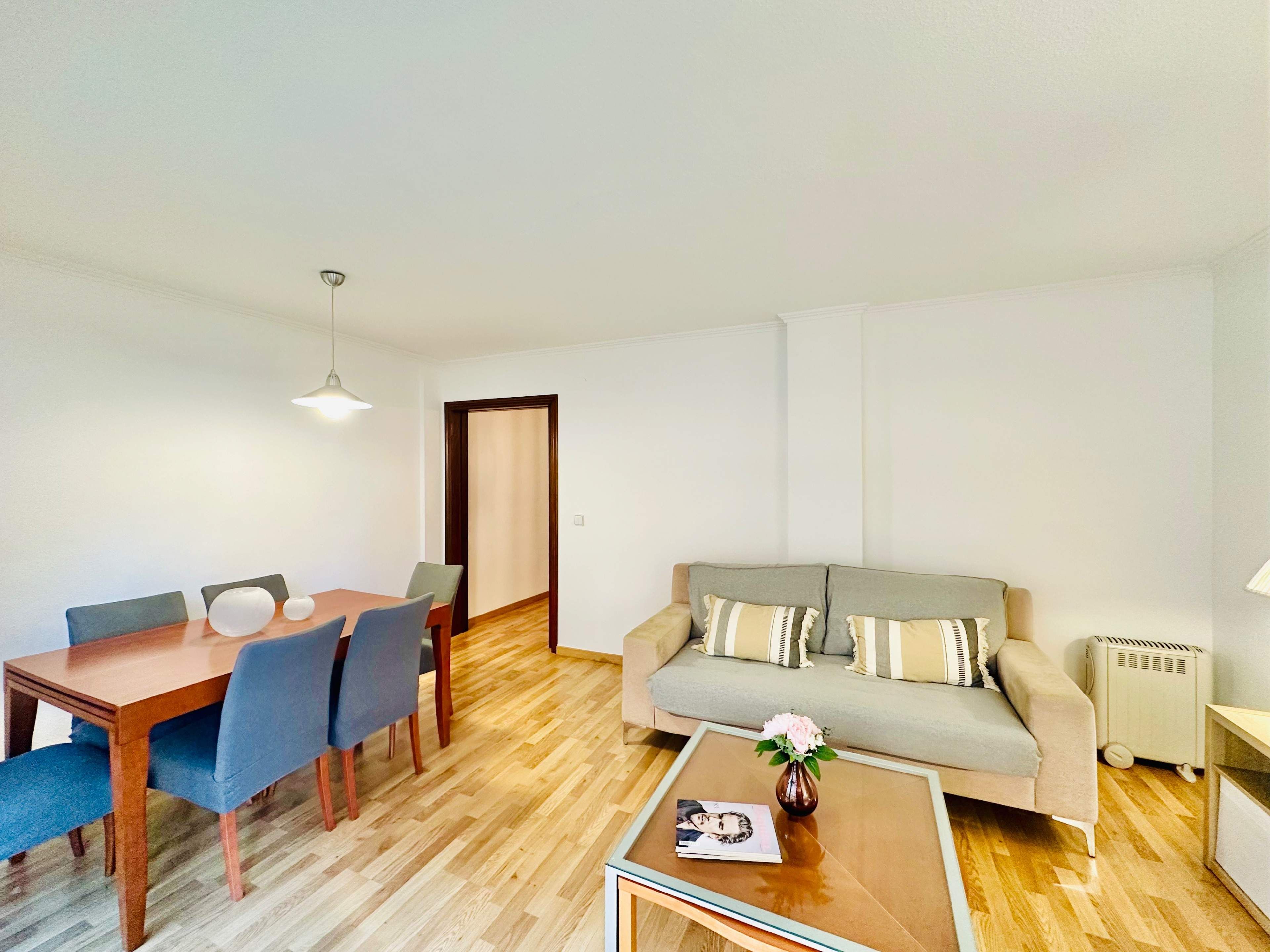 Living room of Flat to rent in Alicante / Alacant  with Air Conditioner, Terrace and Furnished