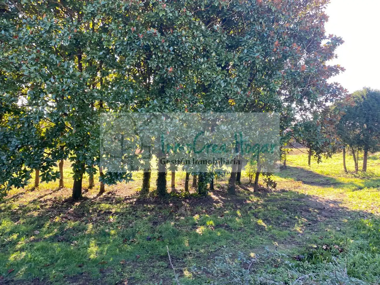 Wohnbaugrundstück zum Verkauf in Tomiño, imagen 15
