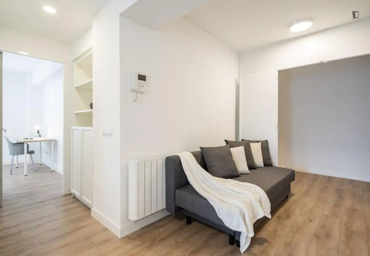 Sala d'estar de Apartament de lloguer en Madrid amb Calefacció, Moblat i Forn