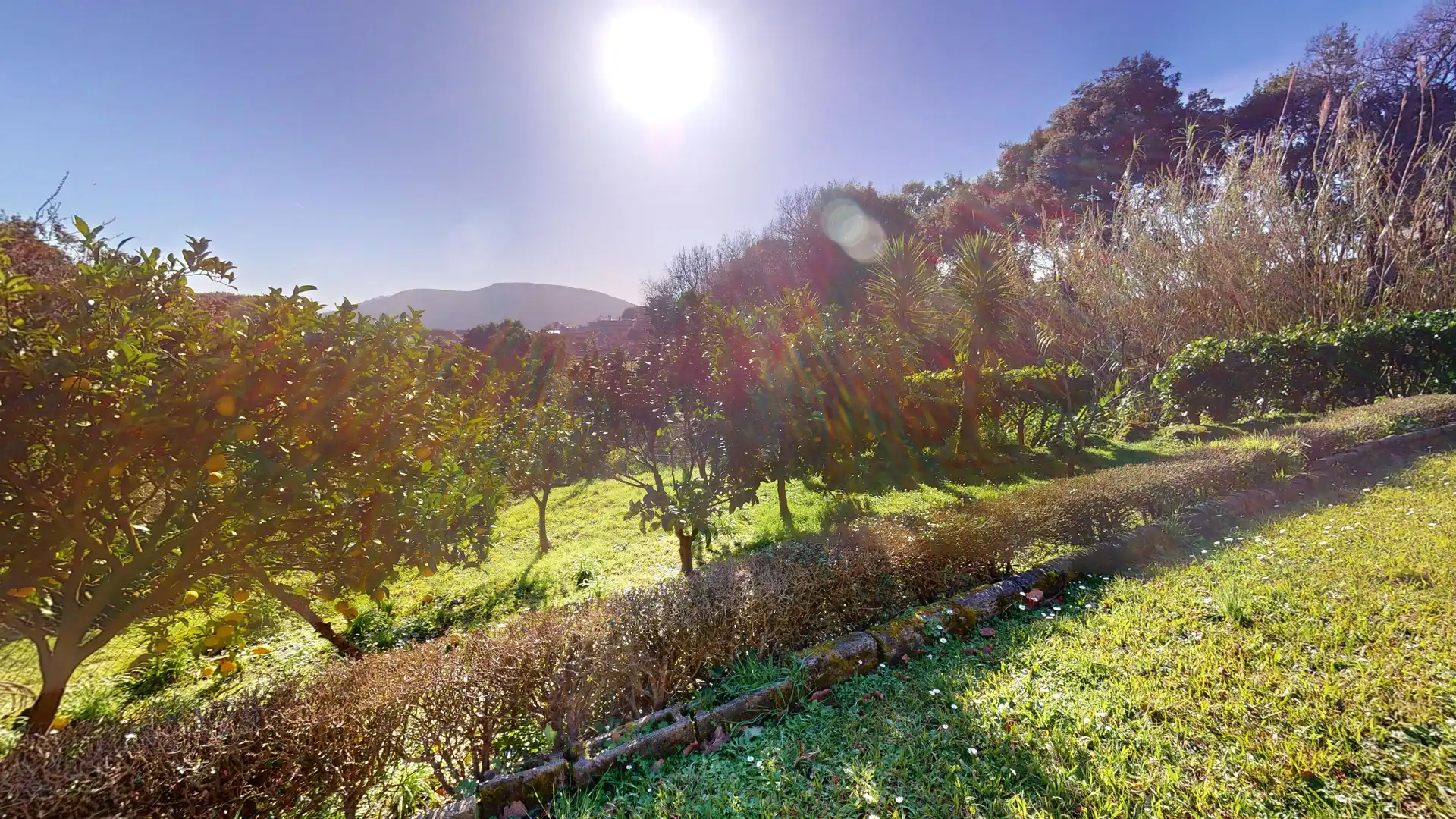 Jardí de Casa o xalet en venda en Arnuero amb Calefacció, Terrassa i Balcó