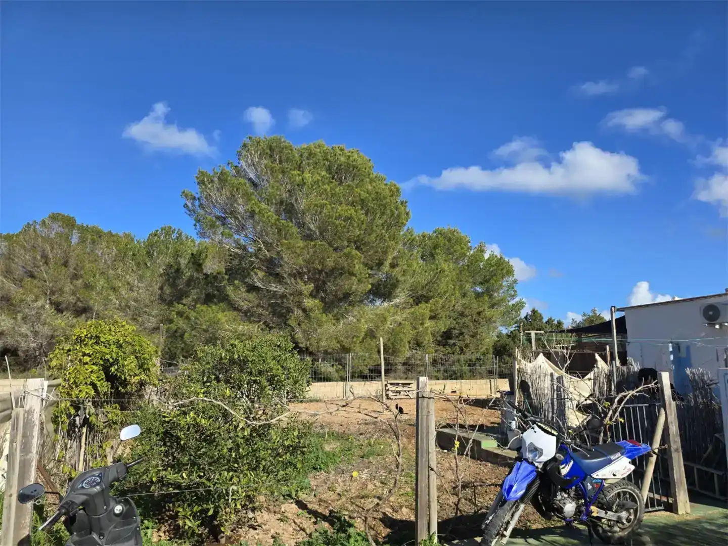 Casa adosada en venta en Formentera con Jardín privado