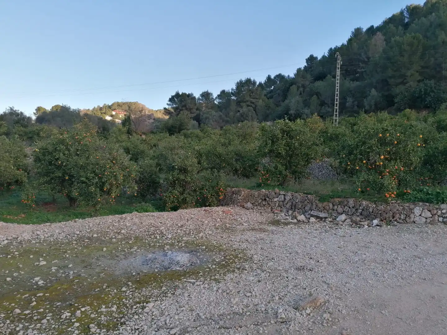 Rural land for sale in Vilallonga / Villalonga, imagen 12