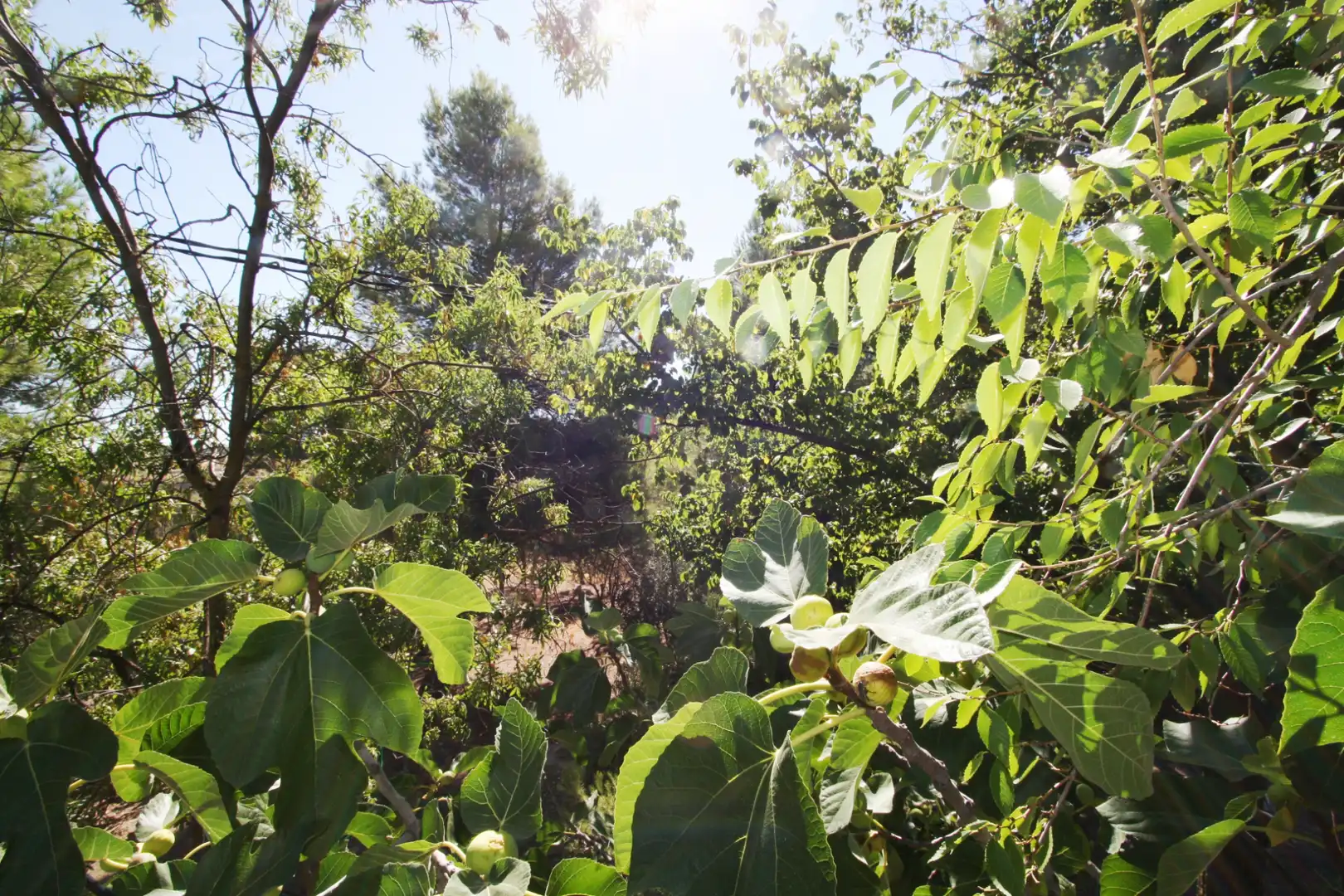 Houses for sale in  Albacete Capital  with Private garden, Terrace and Storage room