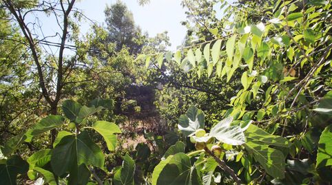 Photo 3 of Houses for sale in Calle Carretera de Jaén, 65, Santa Teresa - Vereda, Albacete Capital