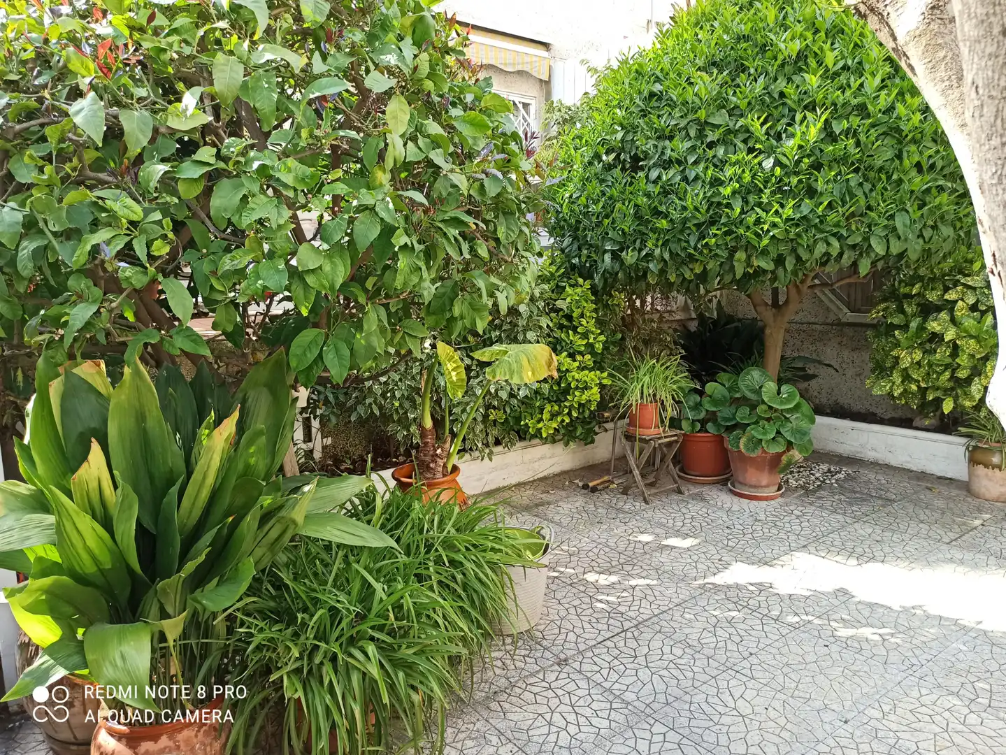 Jardín de Planta baja en venta en Cunit con Aire acondicionado, Jardín privado y Terraza