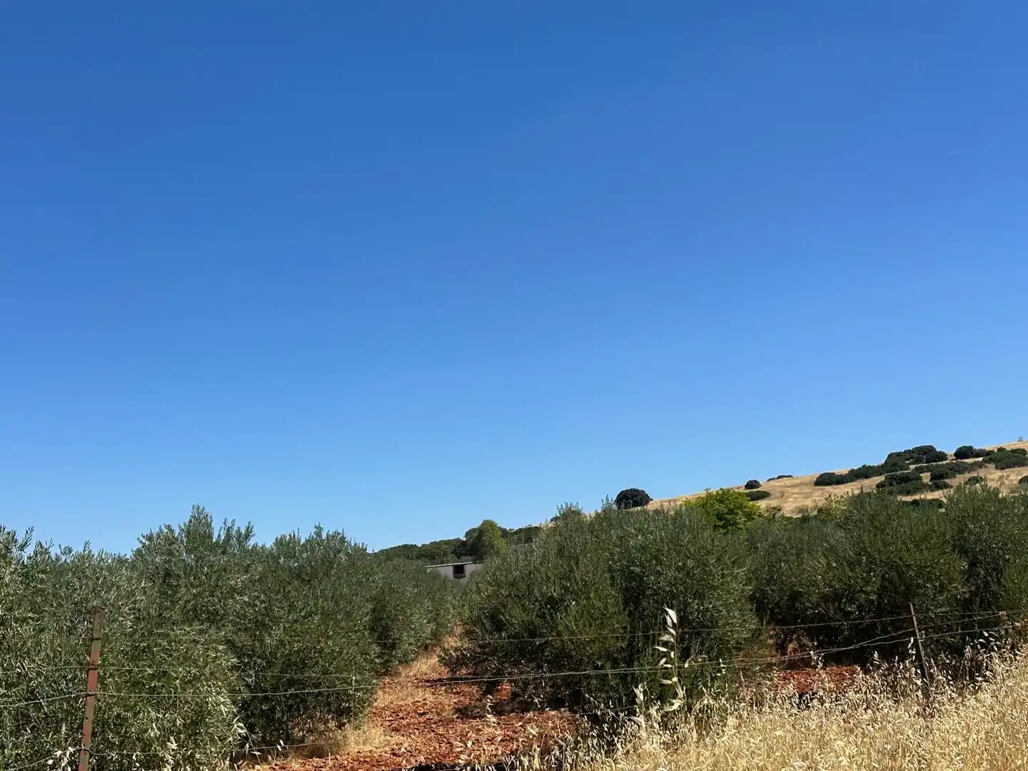 Rural land for sale in Carretera Valdepeñas-Ciudad Real, imagen 32