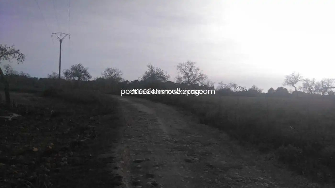 Terreno rustico in vendita a Algaida, imagen 33