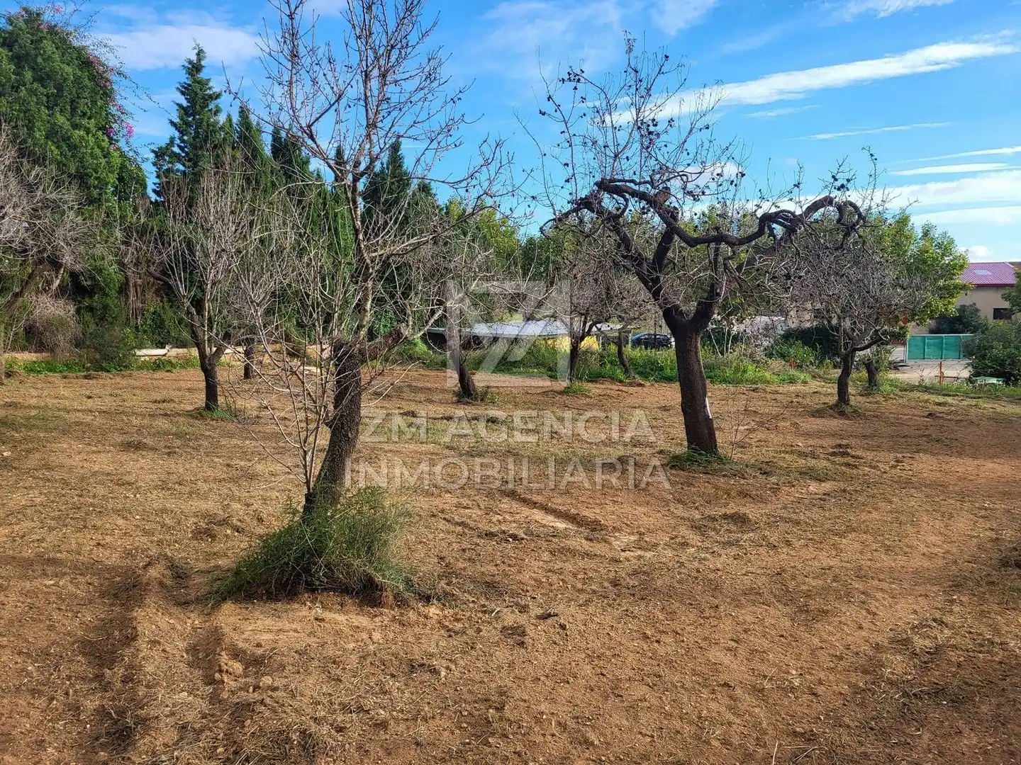 Terreno rustico in vendita a Traiguera, imagen 16