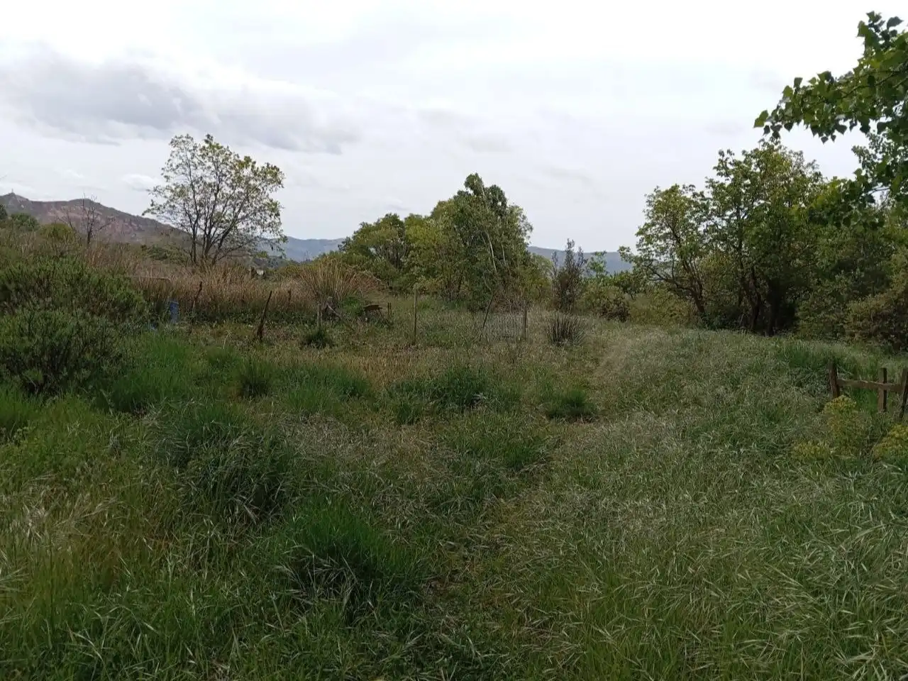 Terreno en venta en Pórtugos