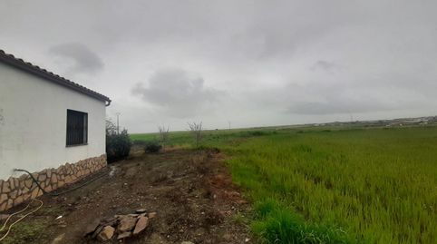 Buena casa de campo en con 5 hectáreas de terreno en Torreorgaz, imatge 4