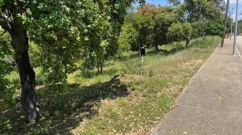 Venta parcela en Urbanización Mas Llunes., immagine 5
