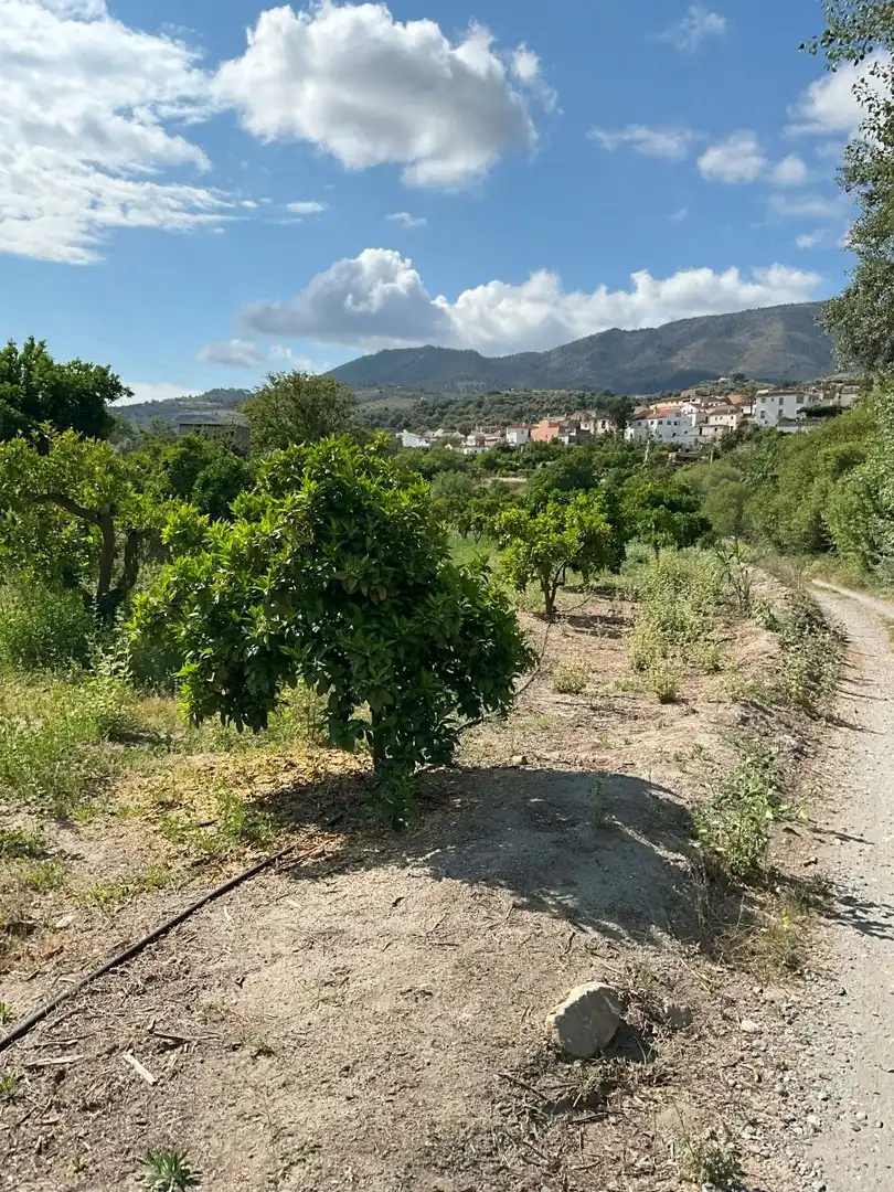 Terreni e lotti in vendita a Andalucia, imagen 15