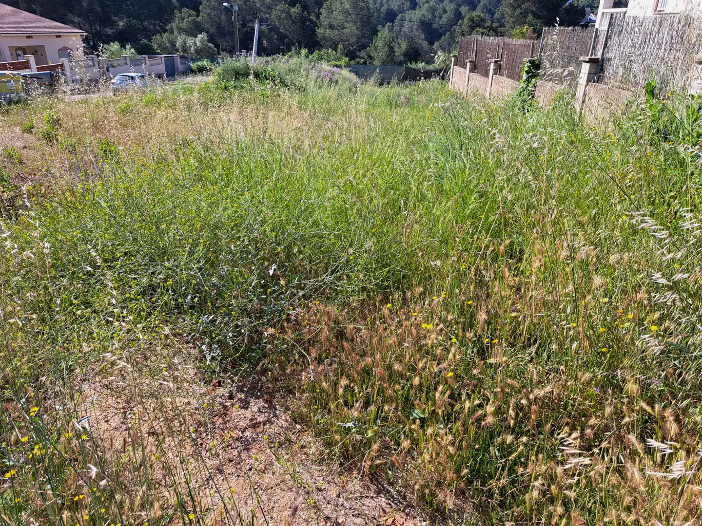 Terreno residencial en venta en Piera, imagen 4
