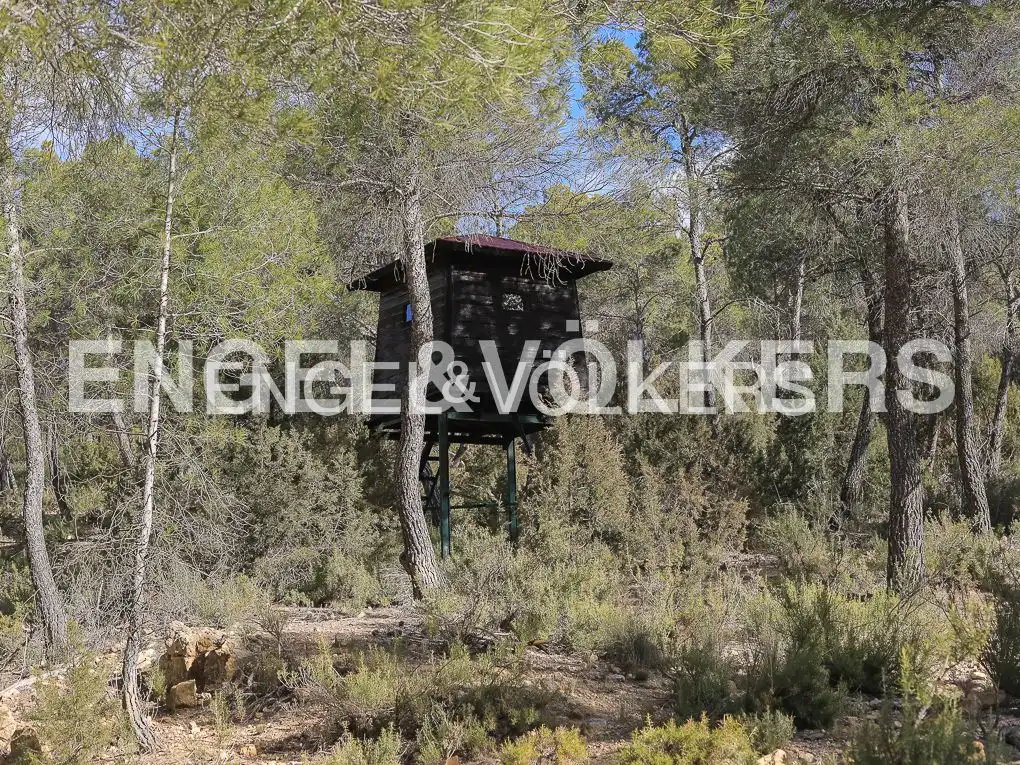 Maison rustique avec piscine à vendre à Ayora, imagen 55