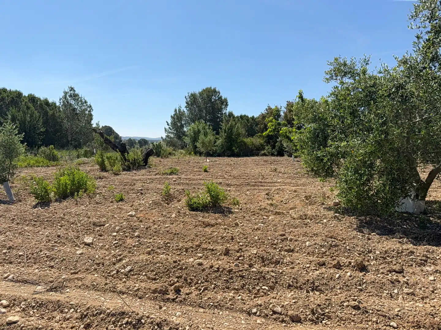 Rustikales Grundstück zum Verkauf in Camí del Cementiri 97, imagen 11