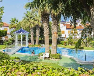 Piscina de Casa o xalet en venda en Torrevieja amb Aire condicionat, Terrassa i Piscina