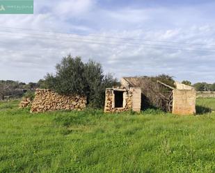 Finca rústica en venda en Santa Margalida