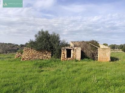 Finca rústica en venda en Santa Margalida