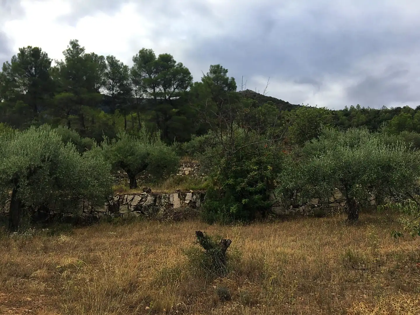 Finca rústica en venda en Benifallet