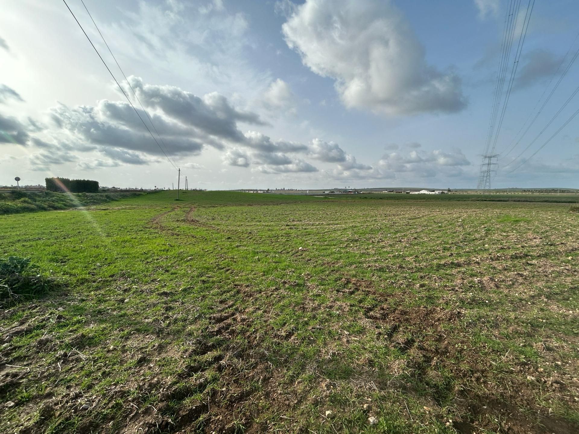 Grundstücke zum Verkauf in Utrera