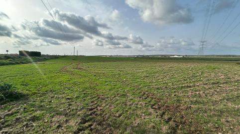 Foto 2 von Grundstücke zum Verkauf in Centro, Utrera