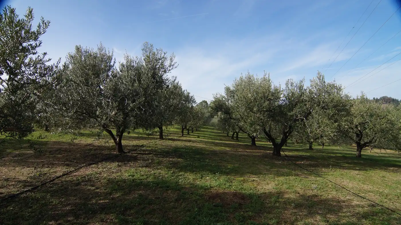 Country homes for sale in Falset  with Private garden