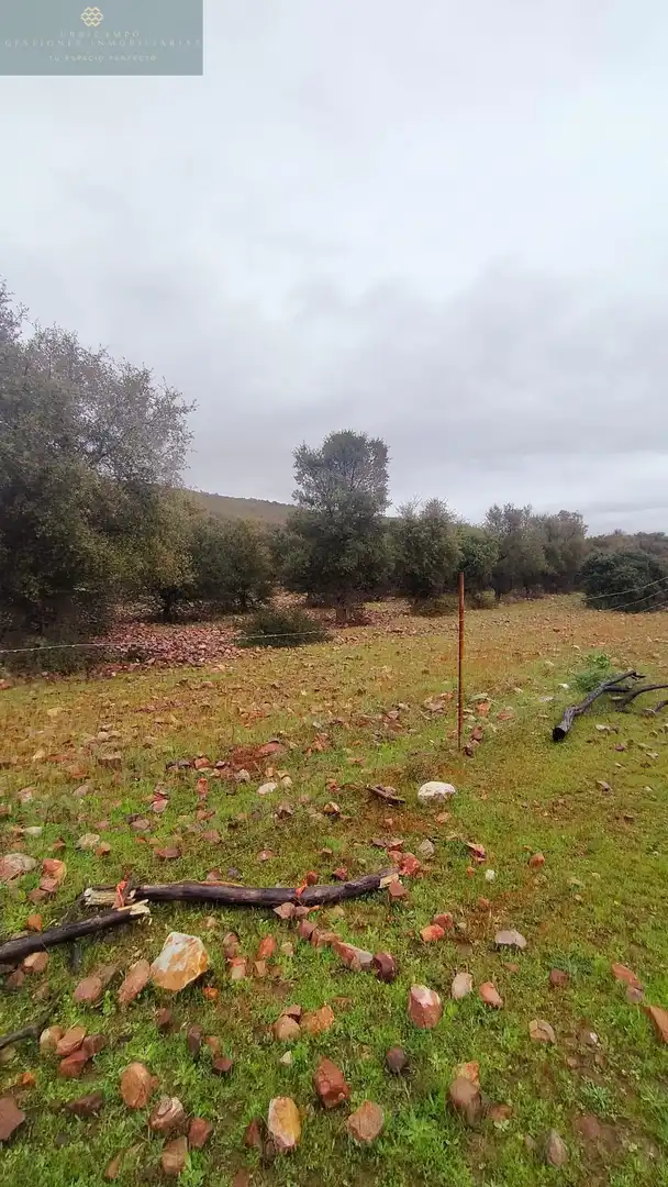 Finca rústica en venta en La Nava de Santiago  con Piscina