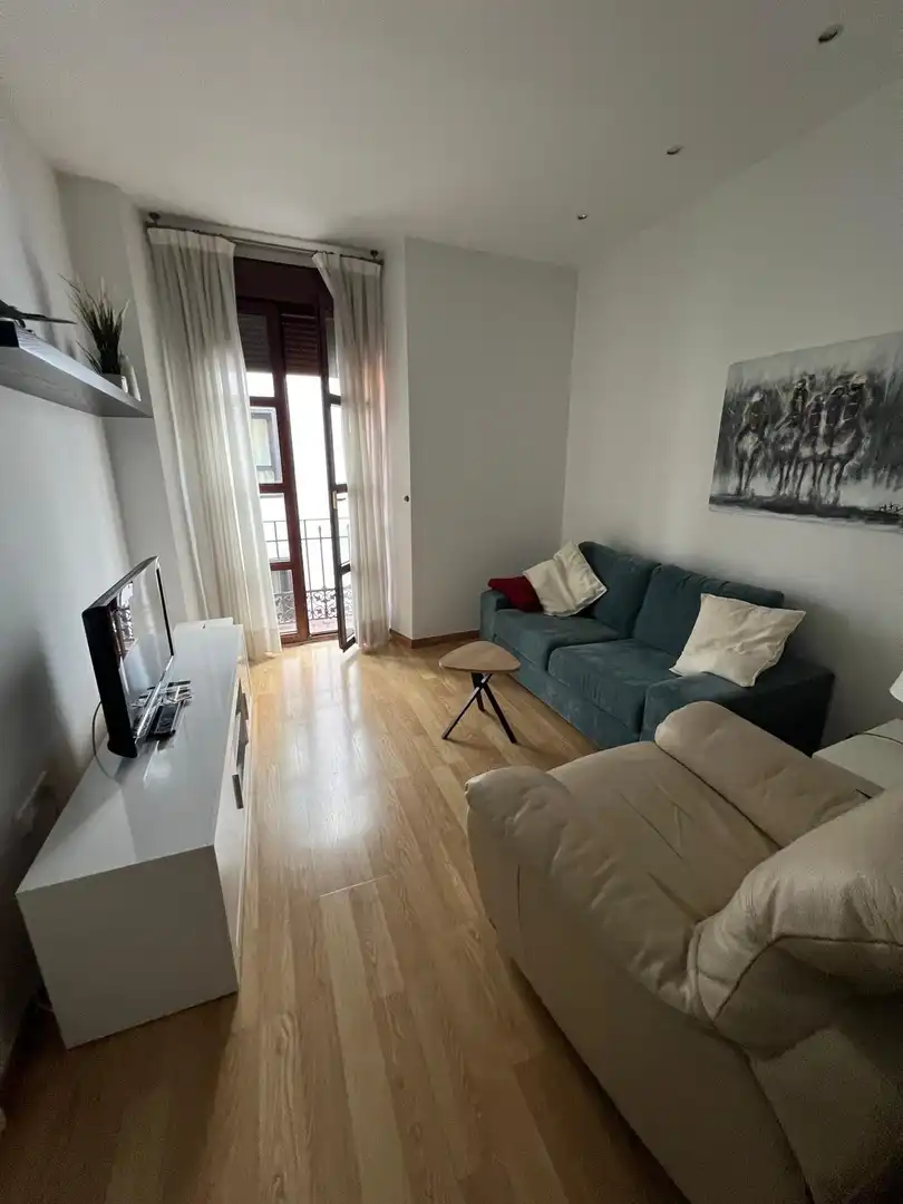 Sala de estar de Apartamento de alquiler en  Sevilla Capital con Aire acondicionado, Terraza y Amueblado